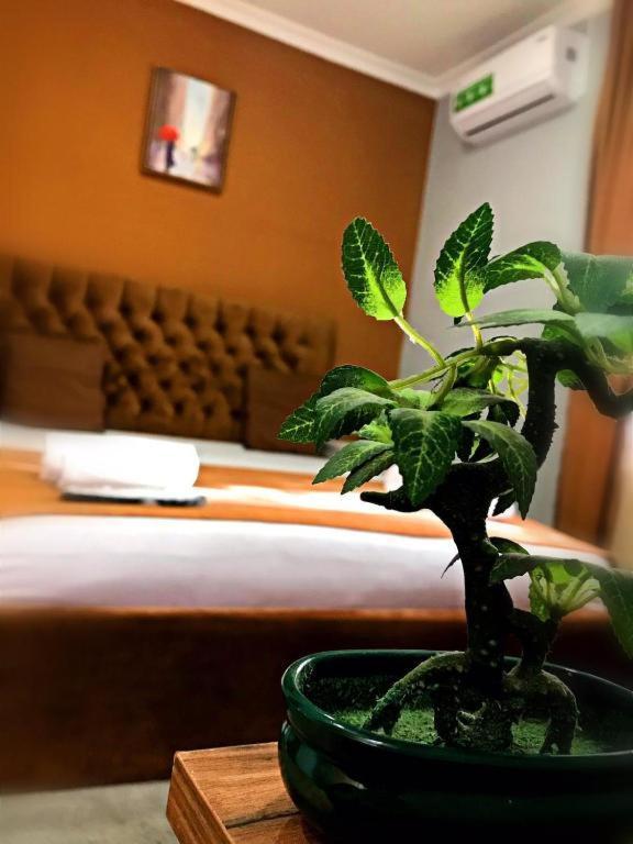 Geo Hotel Tbilisi Eksteriør bilde